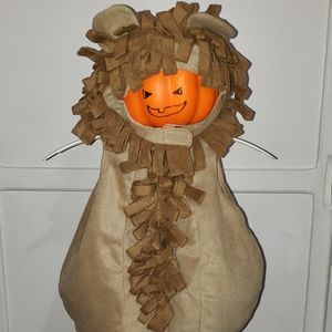 The Children's Place Lion Costume
